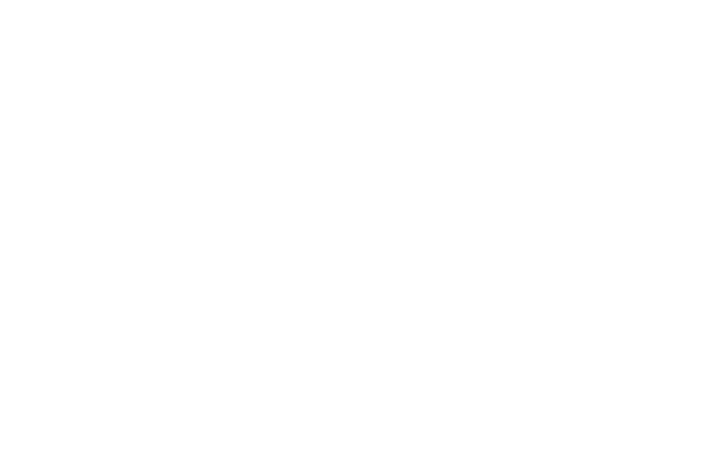 921212四不像金牛版